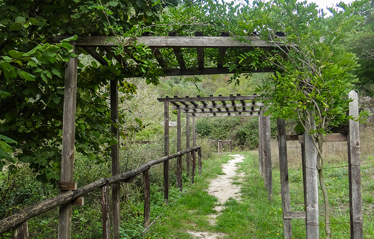 Percorso nel giardino