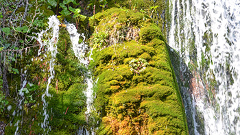 Dettaglio della cascata