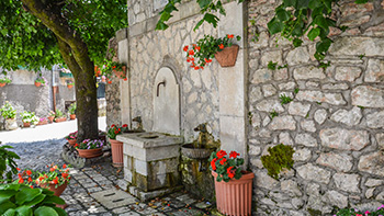 Scorcio della sorgente
